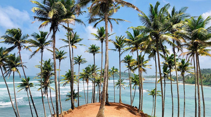 Coconut Tree Hill in Mirissa near Weligama